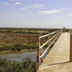 Explore Cycle The East Algarve & South of Spain for 8 days with Be Cool and discover unforgettable experiences - Photo 10