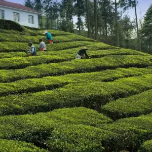 Explore Magical China Tour for 19 days with Bavaria Fernreisen and discover unforgettable experiences - Photo 3