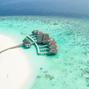 Explore Small Group Roundtrip & Bathing - Sri Lanka & Maldives (incl. flight) for 15 days with Bavaria Fernreisen and discover unforgettable experiences - Photo 5