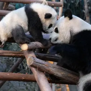 Explore Magical China Tour for 19 days with Bavaria Fernreisen and discover unforgettable experiences - Photo 6
