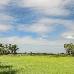 Explore Laos, Vietnam & Cambodia: Small Group Roundtrip & Bathing (incl. flight) for 25 days with Bavaria Fernreisen and discover unforgettable experiences - Photo 2