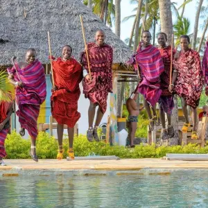 Explore Zanzibar 14 days Diving Holiday, Diving & Beach Escape Trip for 14 days with Beach and Safari Holidays and discover unforgettable experiences - Photo 3