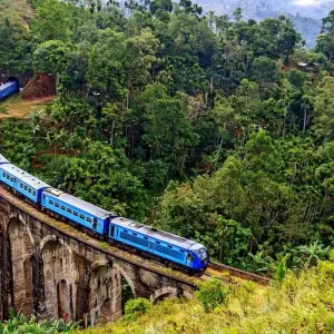 Explore Witness the beauty of South Asia Sri Lanka (09 Days ) Free Upgrade to Private Tour Available for 9 days with Beauty Lanka Travels and discover unforgettable experiences - Photo 6
