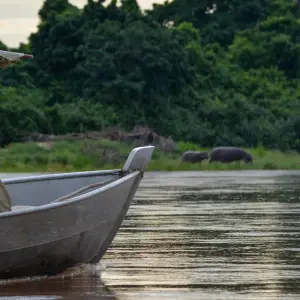 Explore From Zanzibar 3-Day Selous Safari,boat,bushwalk with Fllights for 3 days with Beach and Safari Holidays and discover unforgettable experiences - Photo 3