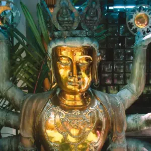 Explore Splendour of Sri Lanka -   ( 8 Days and 7 Nights tour in Sri Lanka ) for 8 days with Beauty Lanka Travels and discover unforgettable experiences - Photo 7