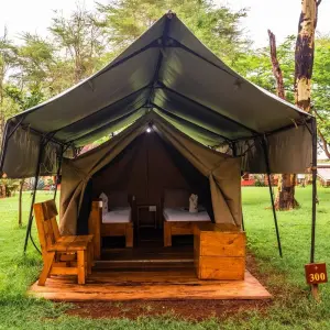 Explore From Arusha 3 Days Tanzanian Flamingo Safari, Tarangire to Magical Lake Natron for 3 days with Beach and Safari Holidays and discover unforgettable experiences - Photo 4
