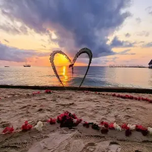 Explore Zanzibar 14 days Diving Holiday, Diving & Beach Escape Trip for 14 days with Beach and Safari Holidays and discover unforgettable experiences - Photo 8