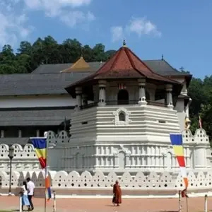 Explore Splendour of Sri Lanka -   ( 8 Days and 7 Nights tour in Sri Lanka ) for 8 days with Beauty Lanka Travels and discover unforgettable experiences - Photo 10