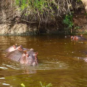 Explore From Arusha 3 Days Tanzanian Flamingo Safari: Tarangire to Magical Lake Natron for 3 days with Beach and Safari Holidays and discover unforgettable experiences - Photo 7