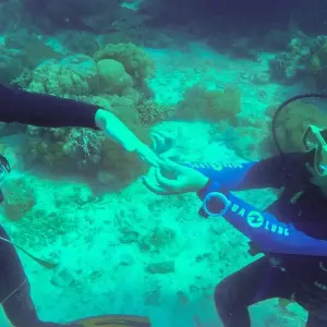 Explore Zanzibar 14 days Diving Holiday, Diving & Beach Escape Trip for 14 days with Beach and Safari Holidays and discover unforgettable experiences - Photo 11