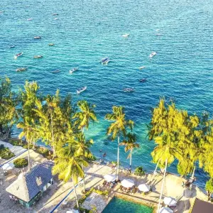 Explore Zanzibar 14 days Beach and Ocean Holidays, Cultural, history & Coastal Adventure trip for 14 days with Beach and Safari Holidays and discover unforgettable experiences - Photo 11