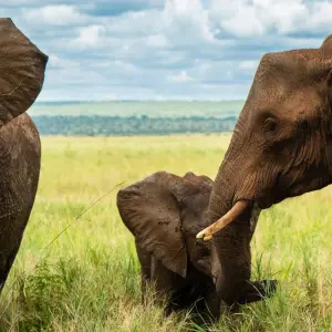 Explore From Arusha 3 Days Tanzanian Flamingo Safari, Tarangire to Magical Lake Natron for 3 days with Beach and Safari Holidays and discover unforgettable experiences - Photo 9