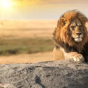 Explore From Arusha 2-Day Tarangire and Ngorongoro Crater Adventure Safari for 2 days with Beach and Safari Holidays and discover unforgettable experiences - Photo 10