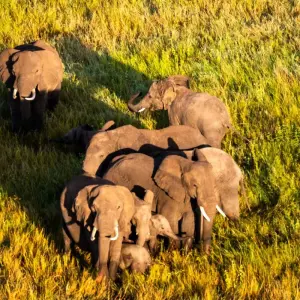 Explore From Arusha 6 days Tanzania's Classic Safari Adventure: Icons of the Wild, Tarangire, Lake Manyara, Serengeti N.P for 6 days with Beach and Safari Holidays and discover unforgettable experiences - Photo 2