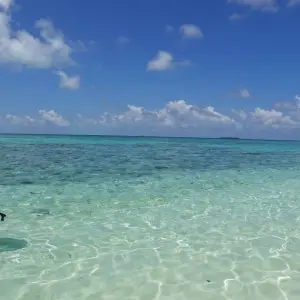 Explore HOT SALE!!! Maldives Travel Package - Rasdhoo Island! for 7 days with BeachLife Tours and discover unforgettable experiences - Photo 4
