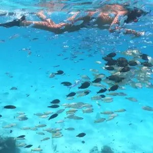 Explore Maldives:  7 day tour!  Rasdhoo + Island Hopping! for 7 days with BeachLife Tours and discover unforgettable experiences - Photo 8