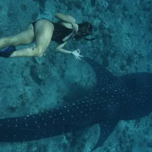 Explore MALDIVES BEST SELLER!  Travel Package ~ 4 days in paradise! for 4 days with BeachLife Tours and discover unforgettable experiences - Photo 10