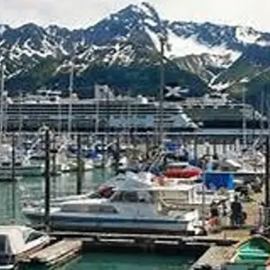 Explore Alaska Glacier Singles Cruise for 10 days with Best Single Travel and discover unforgettable experiences - Photo 3