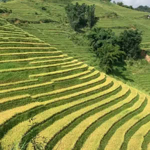 Explore Essence of Northern Vietnam: Hanoi, Ninh Binh, Halong & Sapa (4D3N) for 4 days with Best Vietnam Tours and discover unforgettable experiences - Photo 3