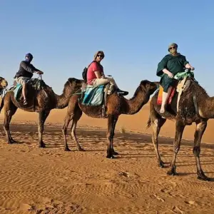 Explore Exotic Morocco (Private Guided tour/ 4 Star Hotels) for 9 days with Best Tours Morocco and discover unforgettable experiences - Photo 2