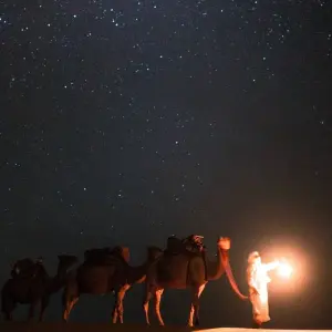 Explore 14 days - Authentic Morocco tour for 14 days with Best Travel Morocco and discover unforgettable experiences - Photo 6