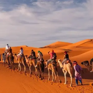 Explore Exotic Morocco (Private Guided tour/ 4 Star Hotels) for 9 days with Best Tours Morocco and discover unforgettable experiences - Photo 6