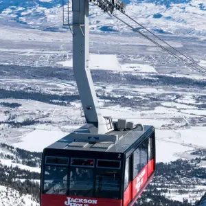 Explore Yellowstone & Grand Teton National Parks Winter Safari for 5 days with Best Single Travel and discover unforgettable experiences - Photo 11