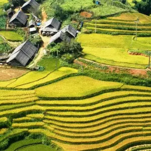 Explore Sapa in a Snapshot: 2 Days 1 Night to Fansipan Peak by Cable Car for 2 days with Best Vietnam Tours and discover unforgettable experiences - Photo 11