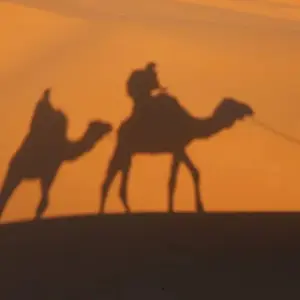 Explore Six days Sahara adventure Starts from Ouarzazate, Ends in Marrakech. for 6 days with Best Tours Morocco and discover unforgettable experiences - Photo 6