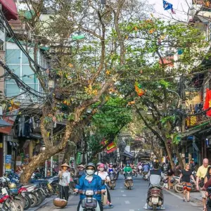 Explore Vietnam Odyssey: A 10-Day Journey from the Northern Highlands to Southern Wonders for 10 days with Best Vietnam Tours and discover unforgettable experiences - Photo 10