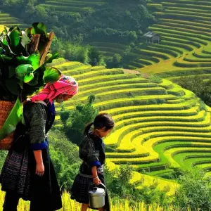 Explore 12 Days In Vietnam North-South for 12 days with Best Vietnam Tours and discover unforgettable experiences - Photo 3