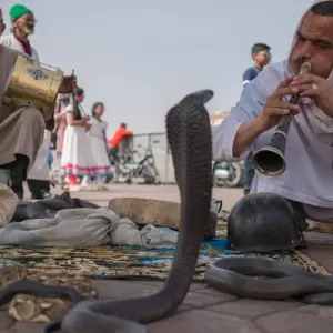 Explore 6 days tour from Marrakech to Fes through the Sahara. for 6 days with Best Tours Morocco and discover unforgettable experiences - Photo 3