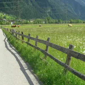 Explore Panoramic Alps Cycle Tour from Innsbruck to Salzburg for 8 days with Bestseller Reisen GmbH and discover unforgettable experiences - Photo 5