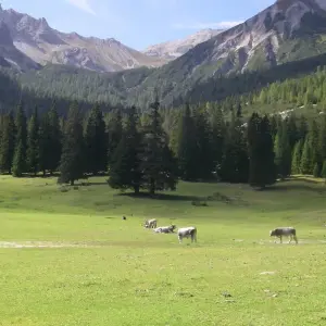 Explore Trekking over the Alps from Innsbruck to Sterzing for 8 days with Bestseller Reisen GmbH and discover unforgettable experiences - Photo 7