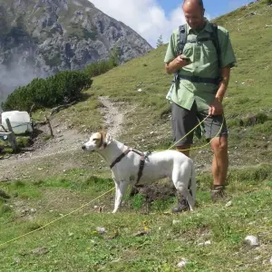 Explore Trekking over the Alps from Innsbruck to Sterzing for 8 days with Bestseller Reisen GmbH and discover unforgettable experiences - Photo 8