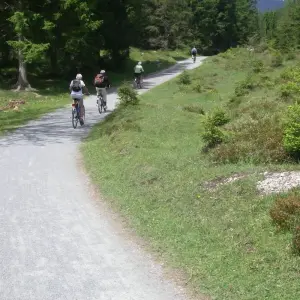 Explore Panoramic Alps Cycle Tour from Innsbruck to Salzburg for 8 days with Bestseller Reisen GmbH and discover unforgettable experiences - Photo 8