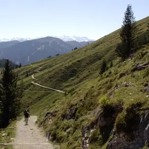 Explore Bavarian Salzburg Alpine Meadows Trail for 8 days with Bestseller Reisen GmbH and discover unforgettable experiences - Photo 9