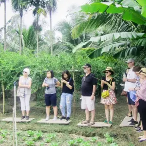 Explore Mighty Mekong River from South Vietnam to North Cambodia 8 days for 8 days with BestPrice Travel and discover unforgettable experiences - Photo 3