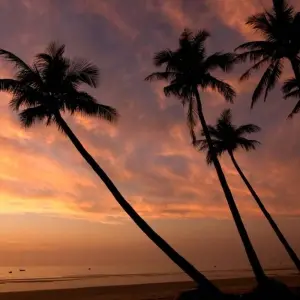 Explore South Vietnam Beauty & Beach Tour 9 days for 9 days with BestPrice Travel and discover unforgettable experiences - Photo 5