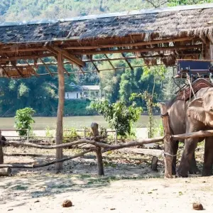 Explore A Glimpse of Thailand 1 Week for 7 days with BestPrice Travel and discover unforgettable experiences - Photo 4