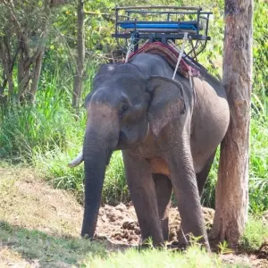 Explore A Glimpse of Thailand 1 Week for 7 days with BestPrice Travel and discover unforgettable experiences - Photo 5