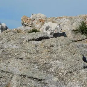 Explore Mickelson Trail Bike Tour for 6 days with Bicycle Adventures and discover unforgettable experiences - Photo 4