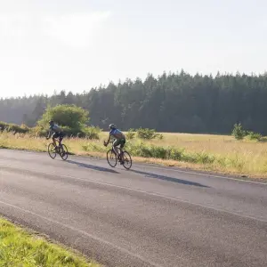Explore San Juan Islands 6 Day Bike Tour for 6 days with Bicycle Adventures and discover unforgettable experiences - Photo 6