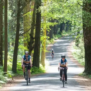 Explore San Juan Islands 6 Day Bike Tour for 6 days with Bicycle Adventures and discover unforgettable experiences - Photo 9