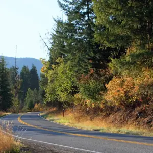 Explore Selkirk & Kootenay Bike Tour for 7 days with Bicycle Adventures and discover unforgettable experiences - Photo 10