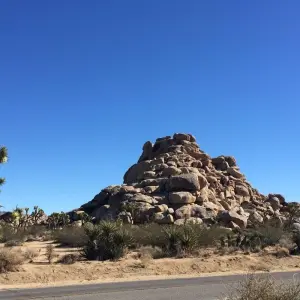 Explore Joshua Tree & Anza Borrego Bike Tour for 5 days with Bicycle Adventures and discover unforgettable experiences - Photo 7