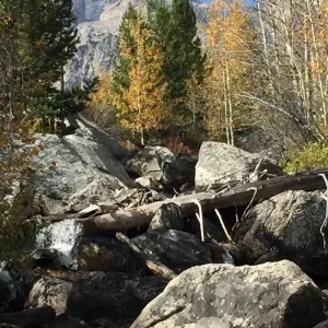 Explore 4 day Yellowstone and Tetons in depth tour from Salt Lake City Small Groups Tour for 4 days with Bindlestiff Tours and discover unforgettable experiences - Photo 6