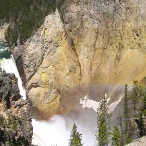 Explore 4 day Yellowstone and Tetons in depth tour from Salt Lake City Small Groups Tour for 4 days with Bindlestiff Tours and discover unforgettable experiences - Photo 9