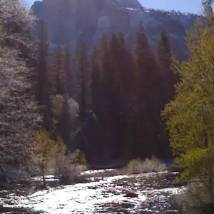 Explore Yellowstone Rocky Mountain and California Desert 11 Day Explorer Camping and Lodging mix for 11 days with Bindlestiff Tours and discover unforgettable experiences - Photo 9