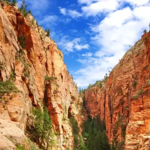 Explore Private Camping Tour-National Parks Tour 3 Days Small Group Tour from Las Vega for 3 days with Bindlestiff Tours and discover unforgettable experiences - Photo 2